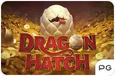 big daddy dragon hatch