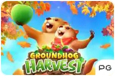 big daddy ground hog harvest